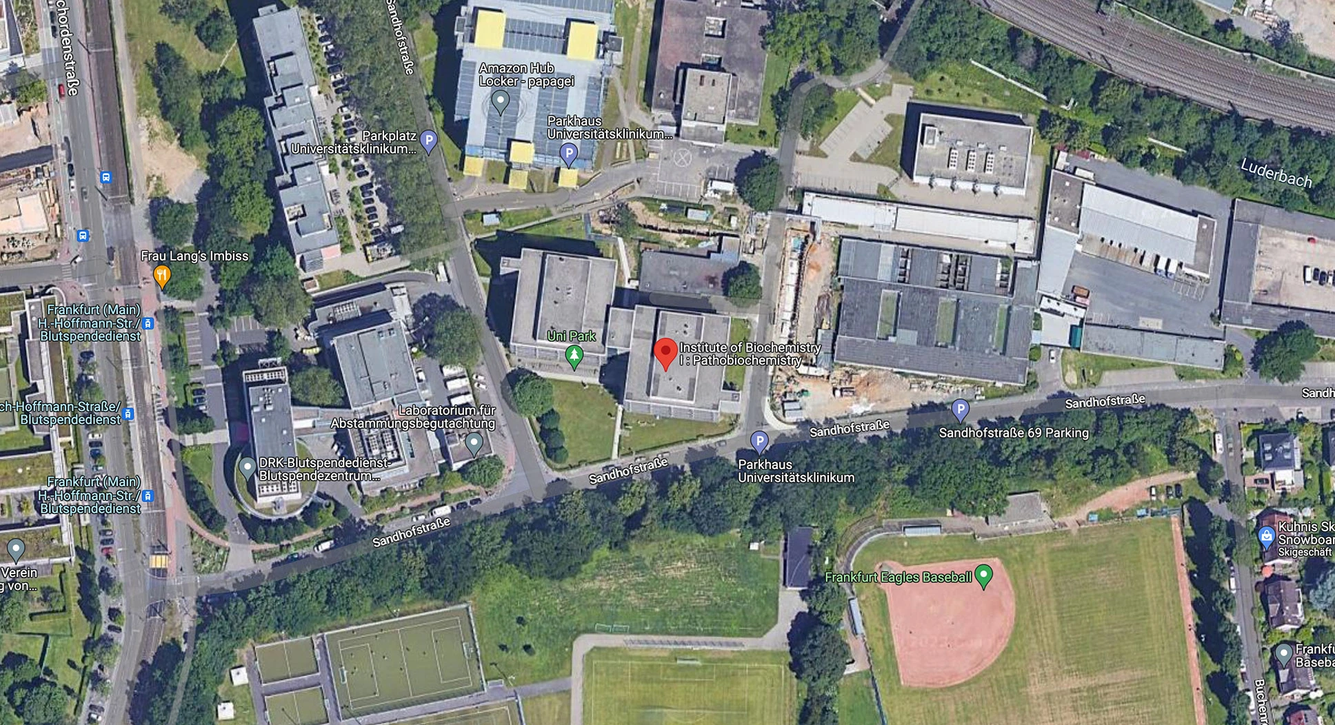 Patho Biochemistry - Map