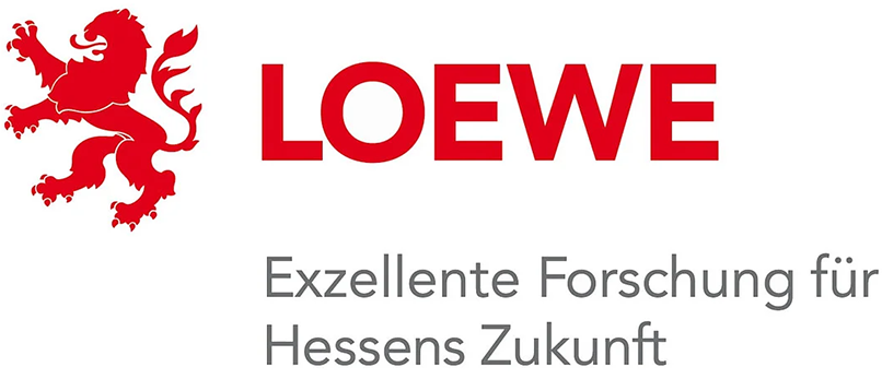 Loewe Forschung