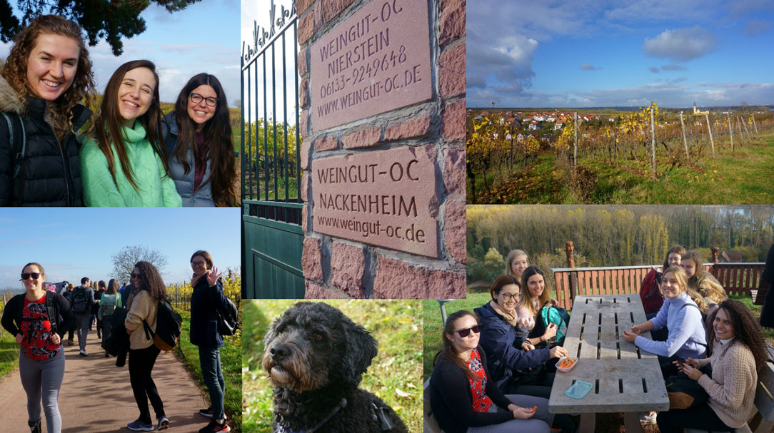 Patho Biochemistry - Team Event Hiking 2021